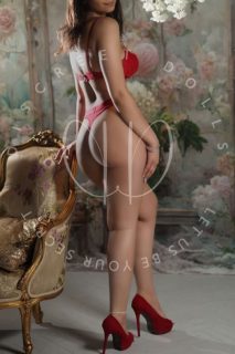 Tara - Toronto Escort Companion