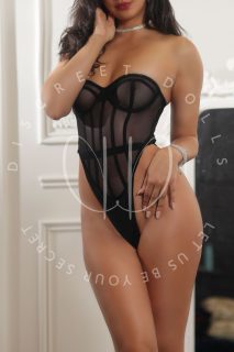 Alex - Toronto Escort Companion