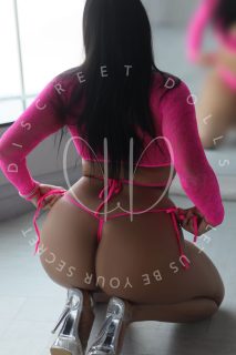 Allison - Toronto Escort Companion